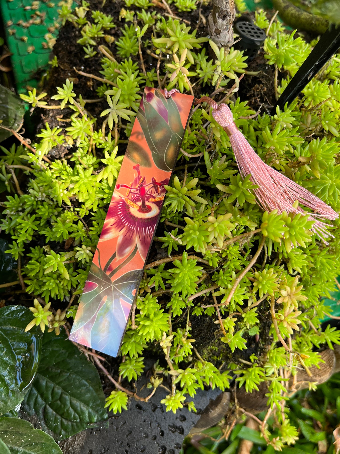 Reunion Flowers bookmarks