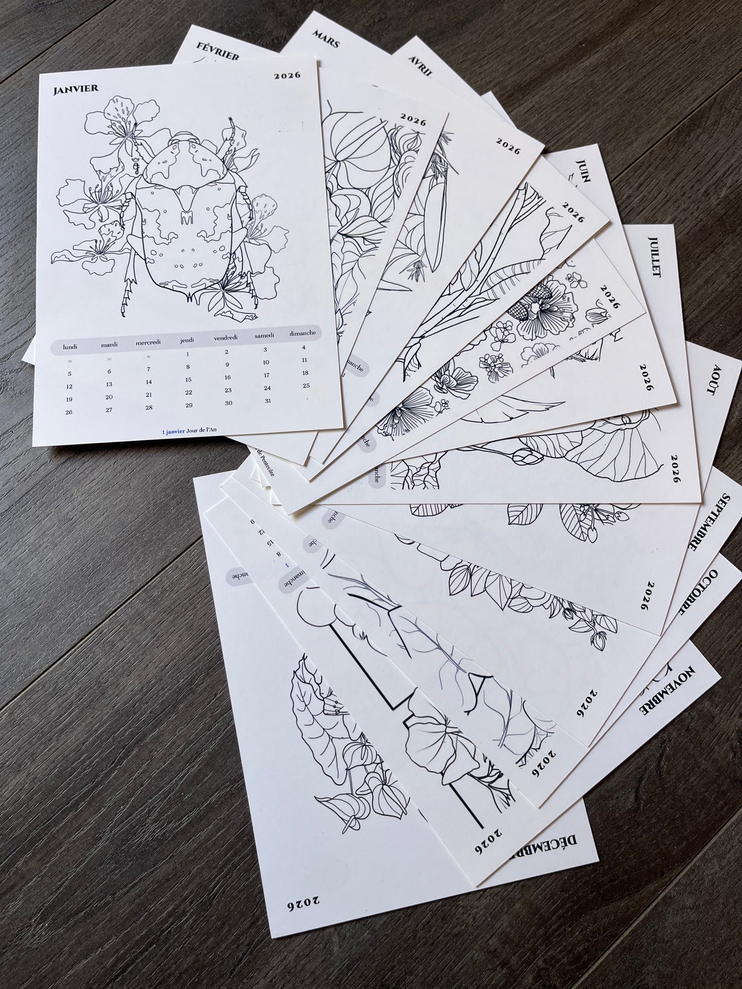 Calendrier 2026 à colorier