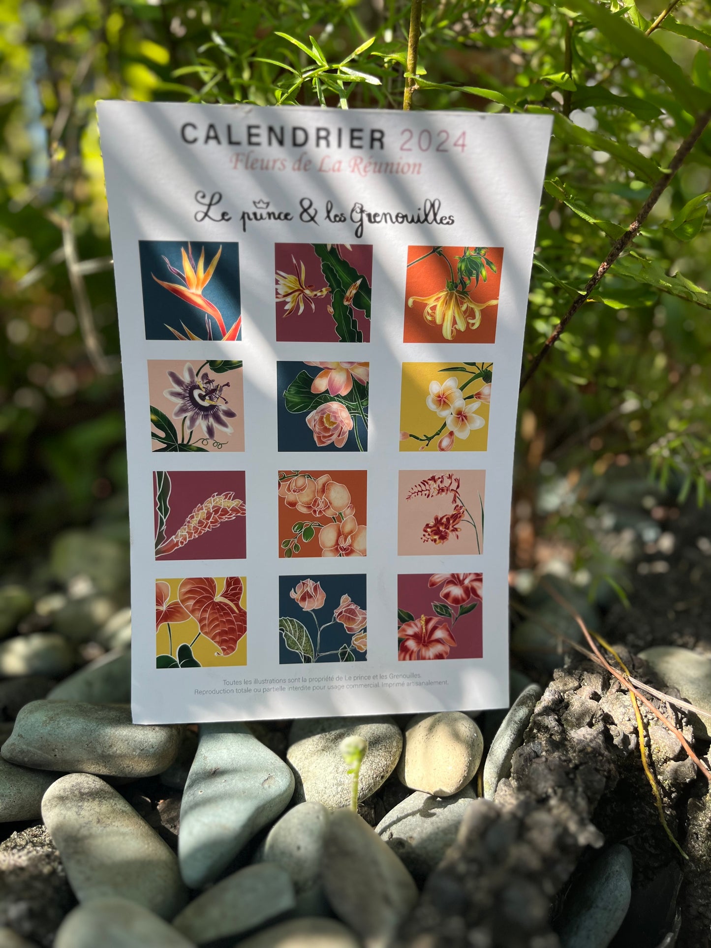 2024 Calendar Flowers of Reunion Island