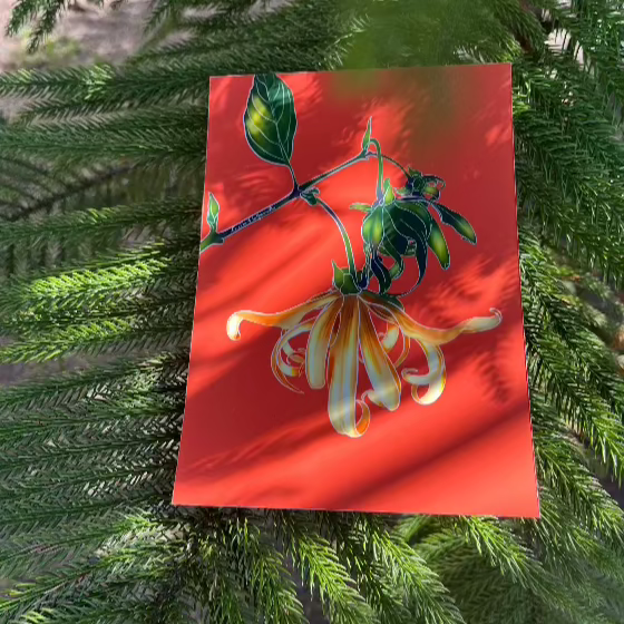 illustration fleurs de la réunion