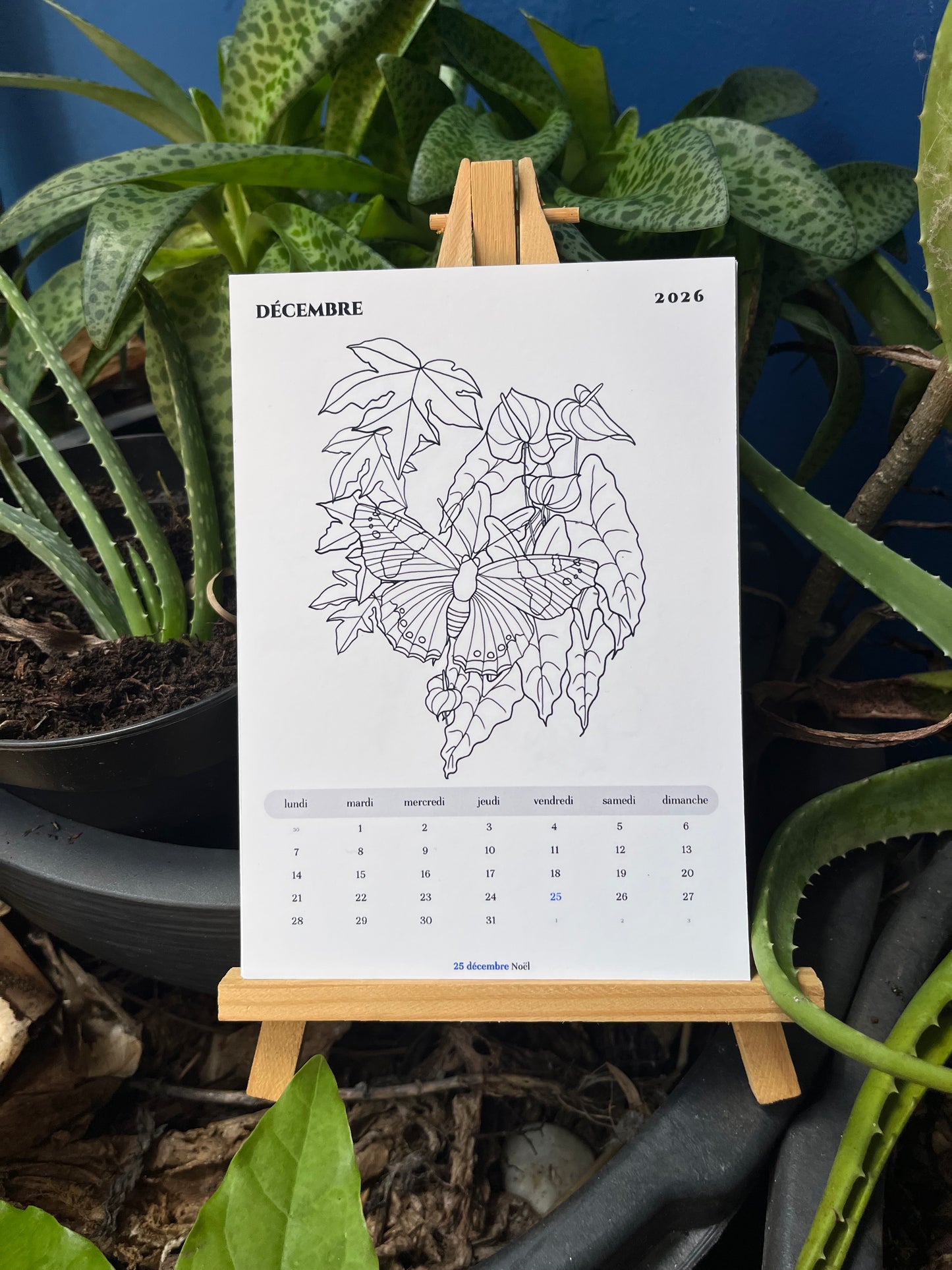 Calendrier 2026 à colorier